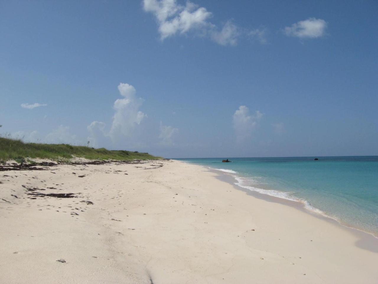 James Cistern Buttonwood Reserve 1B المظهر الخارجي الصورة